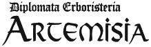 logo-artemisia-cliente-webleaders