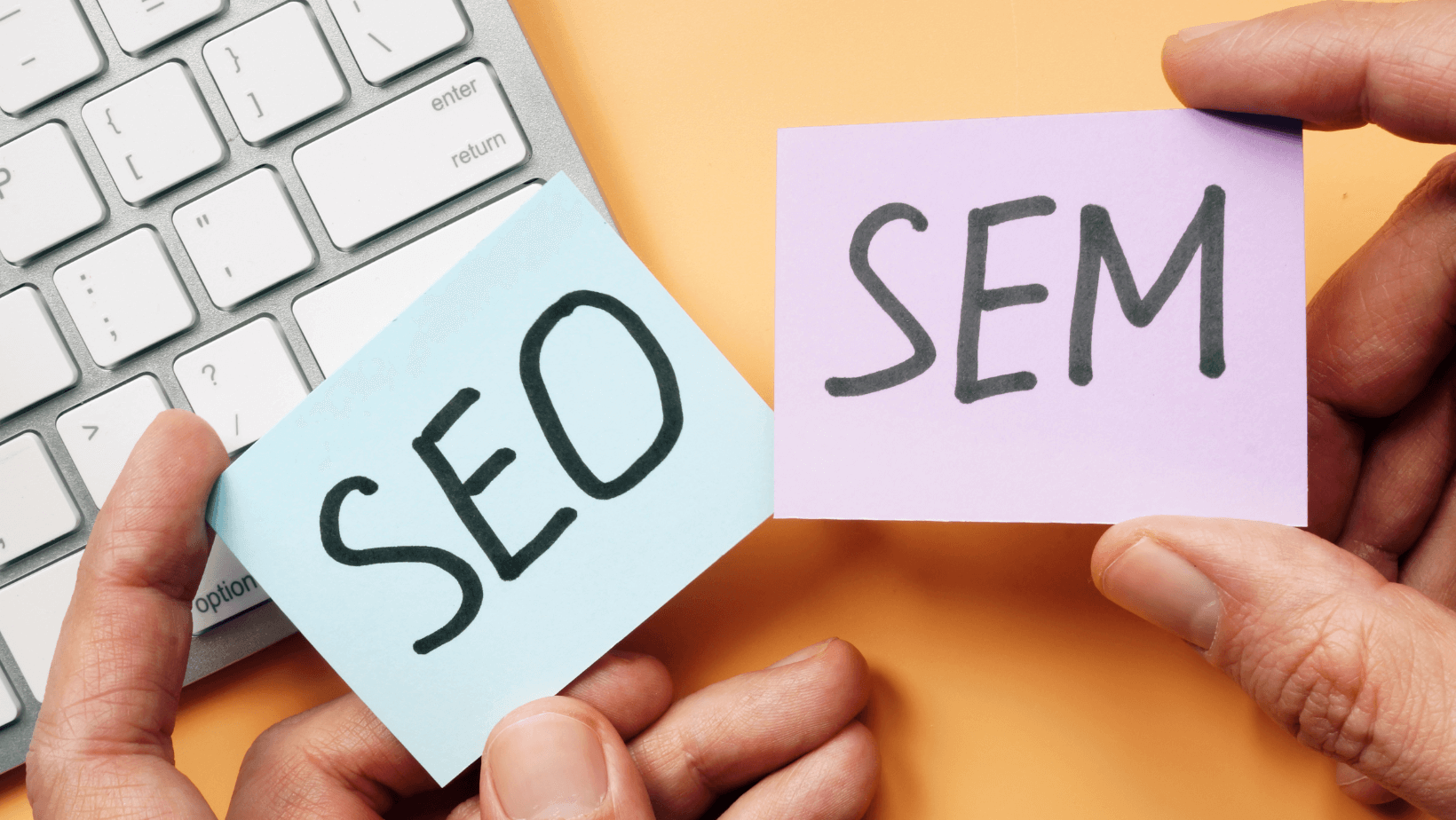 seo-e-sem web leaders