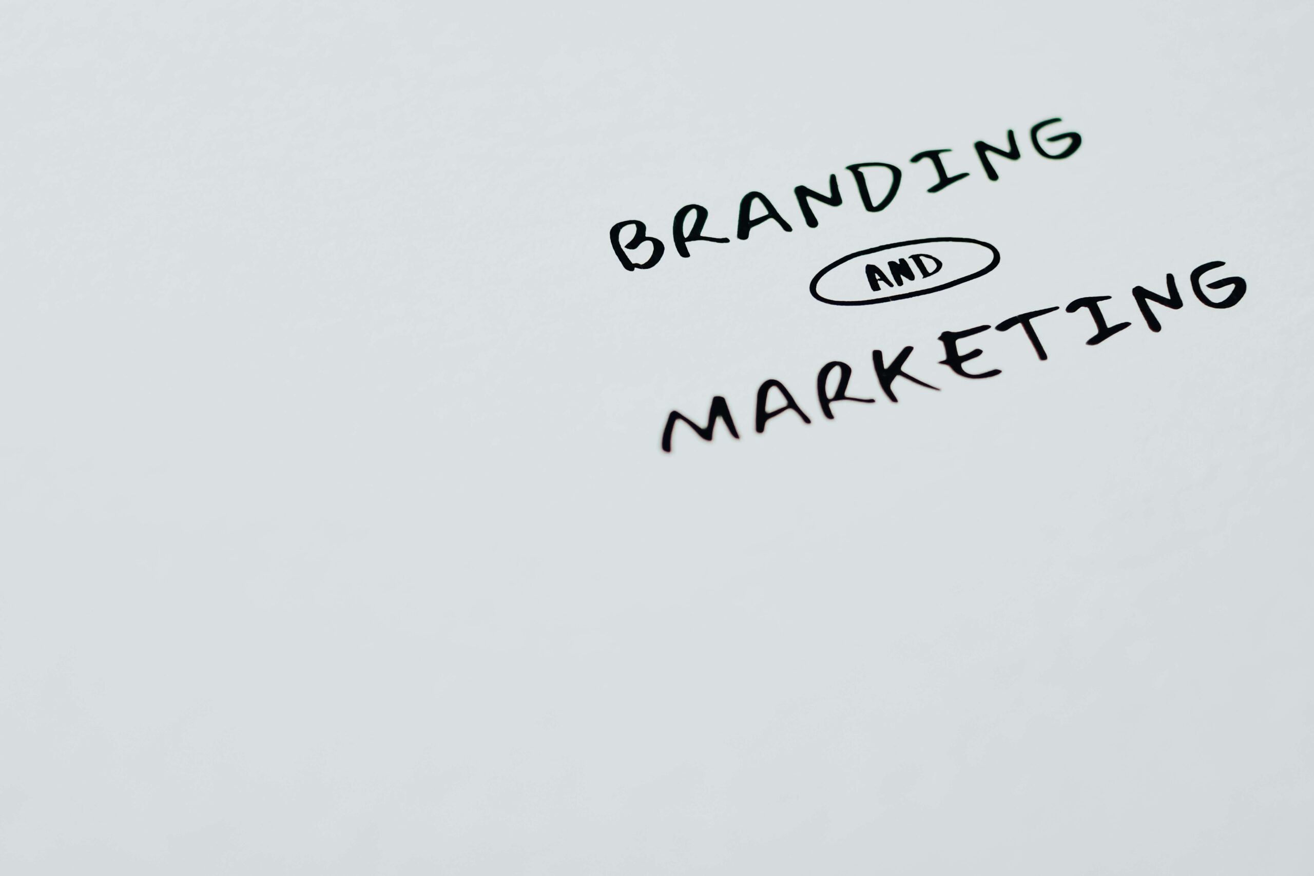 brand reputation feedback